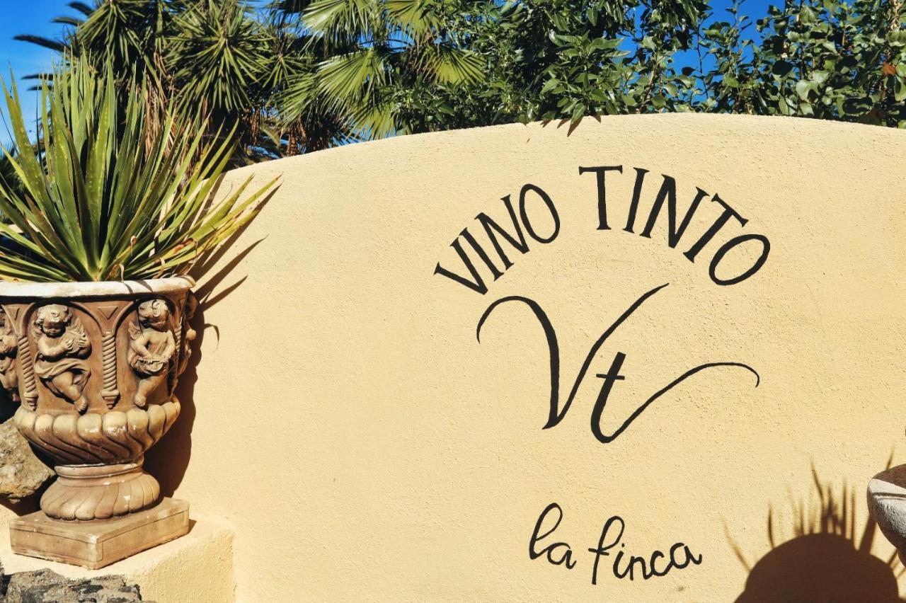 Finca Vino Tinto 4 Icod De Los Vinos Extérieur photo